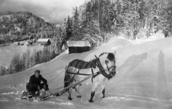 Einar Omland på tømmersleden - #KvH 06-071 b 