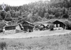 Dalen nordigar i Dalane oml 1950 - KvH 04-029 b 
