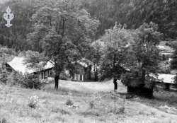 Dalen nistogo oml 1950 - #KvH 04-041 b