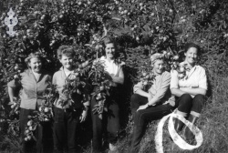 Eplehausting 1959 på Kyrkjebø 01 - #KvH 06-004 b 