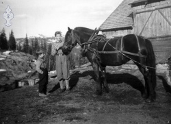 Sigmund og Jørgen Kasin med Svarten 1956 - #KvH 06-009 b 