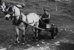 Blakka og Torjus S Dalen ute med mykakjerra - #KvH 06-014 b