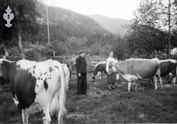 Anne og Halvor Husås med buskapen - #KvH 06-023 b 