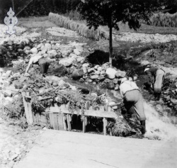 Flaum 1953 nr 05 Haukomgrend - #KvH 02-084 b 