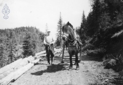 Edvard E Evja køyrer tømmer på Flekstveitheia - #KvH 06-040 b 