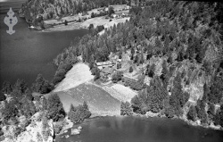 87130 b Viki 35-1 180755.jpg