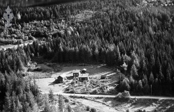 135367 b Stallan 180859.jpg