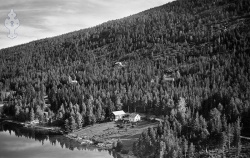 135372 b Briskelid 180859.jpg