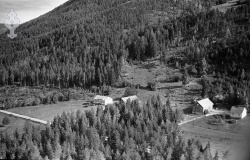 135379 b Lislekos 180859.jpg